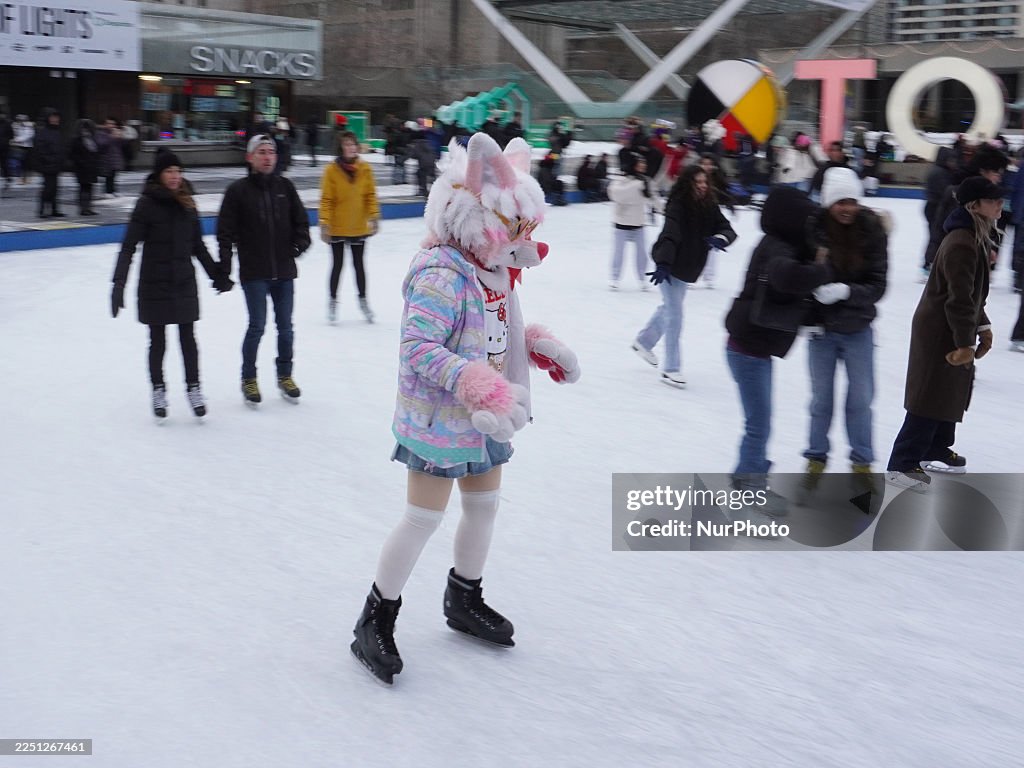 Ice Skating In Toronto