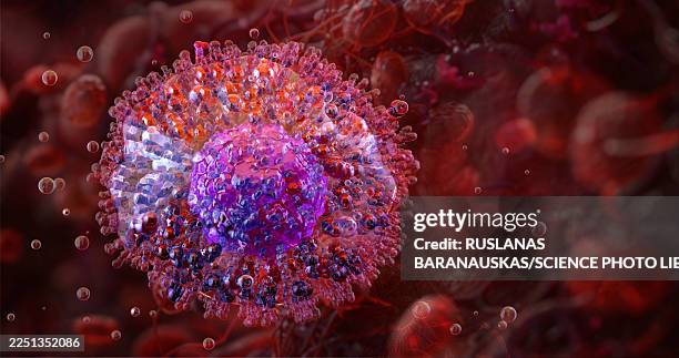 mast cell, illustration - mast cell stock illustrations