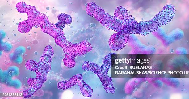 bifidobacterium beneficial bacteria, illustration - bifidobacterium stock-grafiken, -clipart, -cartoons und -symbole