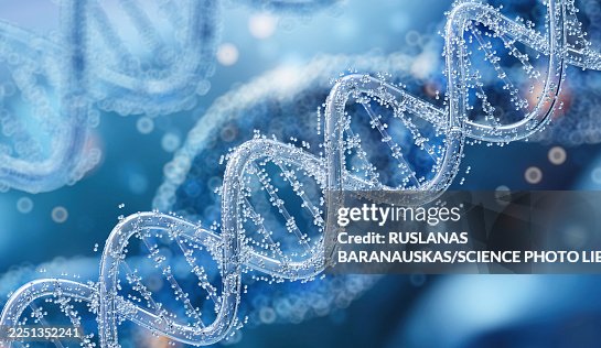 DNA molecule, illustration DNA molecule, illustration