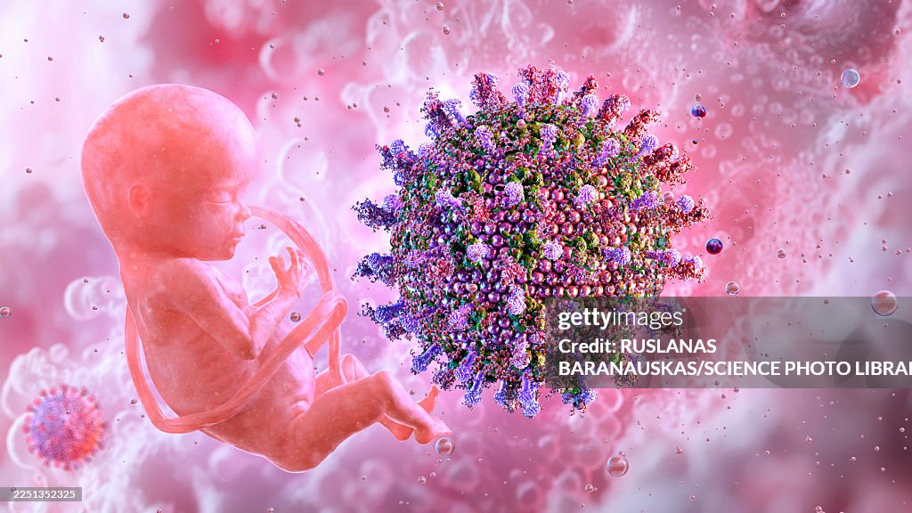 Developing foetus and rubella virus, illustration