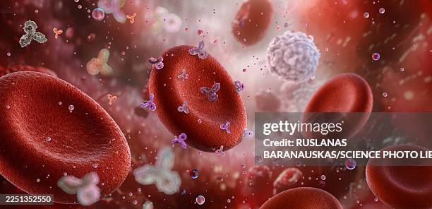 rhesus positive and negative red blood cells, illustration - blood bag stock illustrations