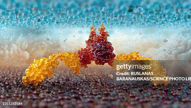 car t-cell therapy, illustration - natural killer cell therapy stock illustrations