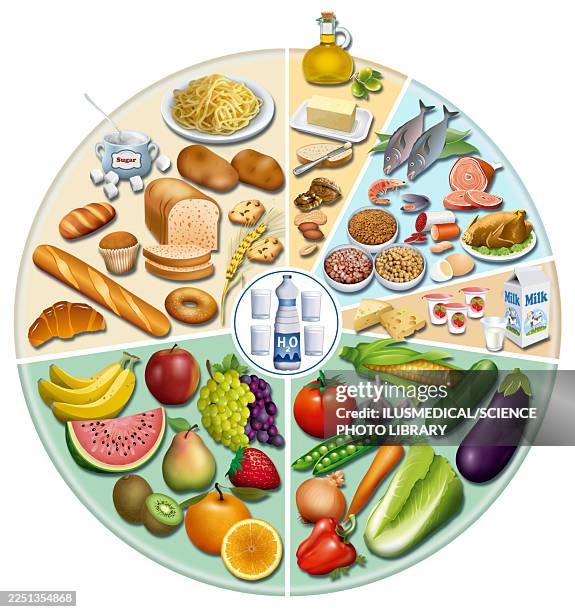 ilustraciones, imágenes clip art, dibujos animados e iconos de stock de balanced nutrition food wheel, illustration - carbohidrato
