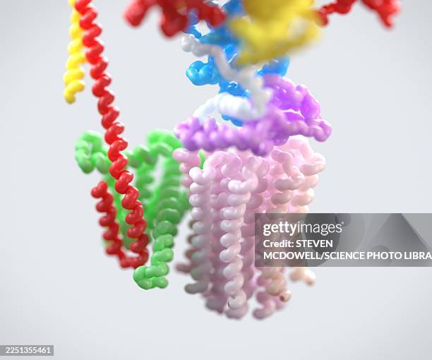 adenosine triphosphate molecular model, illustration - energy metabolism stock illustrations