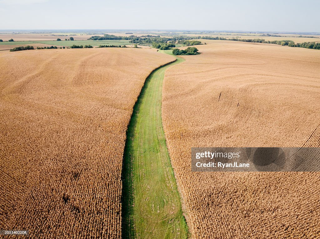 Sprawling Cornfields in Kansas