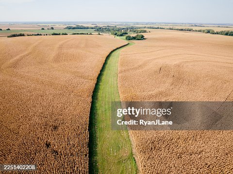 Sprawling Cornfields in Kansas Sprawling Cornfields in Kansas