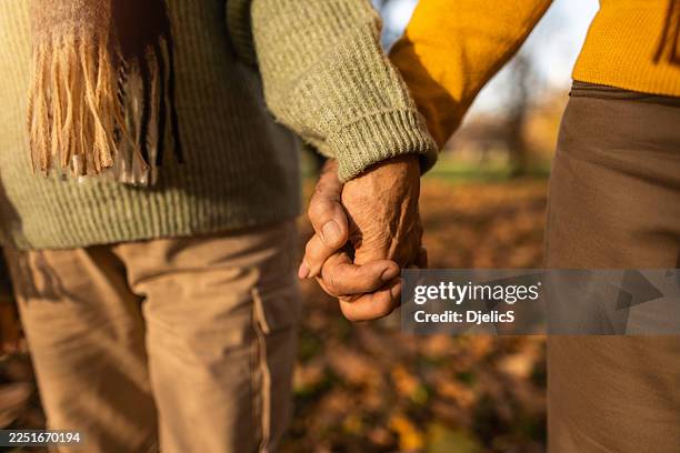 close-up of senior couple holding hands while walking together in nature. - unrecognisable person stock pictures, royalty-free photos & images