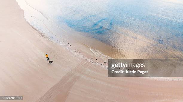 elevated/drone view of a man walking his dog on a remote beach in the scottish highlands - westeuropa stock-fotos und bilder