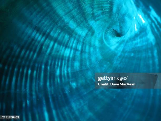 abstract texture of small abalone shell - fibonacci shell stock pictures, royalty-free photos & images