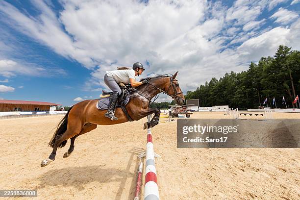 female show jumper crossing the hurdle. - equestrian event stock pictures, royalty-free photos & images