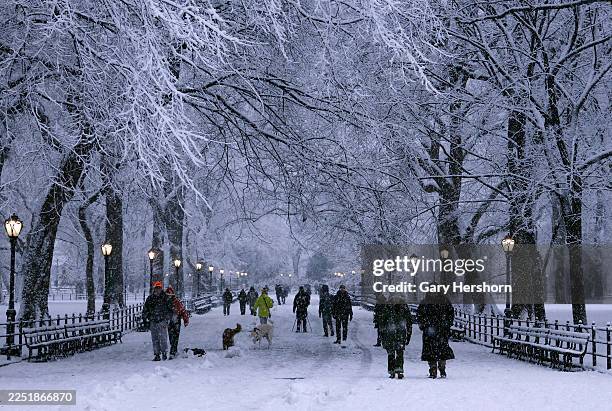 People walk along The Mall in Central Park during a snowfall on December 14 in New York City. A weather alert was issued for the City as there was a...