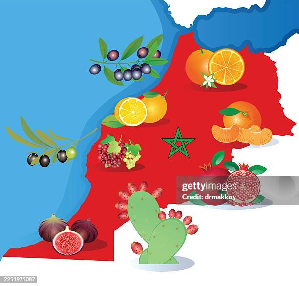 morocco fruits map - berkane stock illustrations
