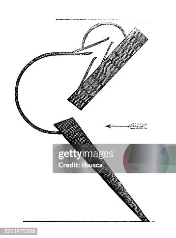 Stake net Stake net