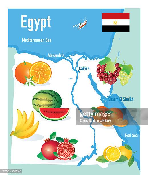egypt fruits map - nile river agriculture stock illustrations