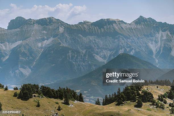 vast mountain range vista with layered ridges and forest - parc naturel régional du vercors photos et images de collection