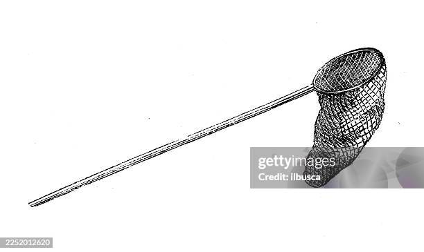 butterfly net - butterfly net stock illustrations