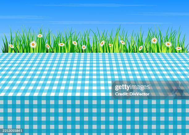 table cloth vector illustration - picnic table texture stock illustrations