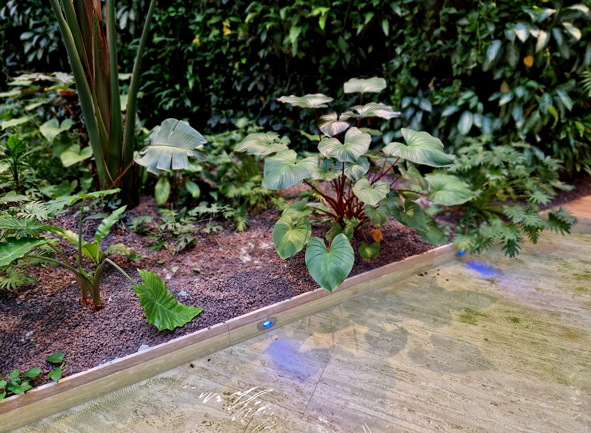 uv water purification