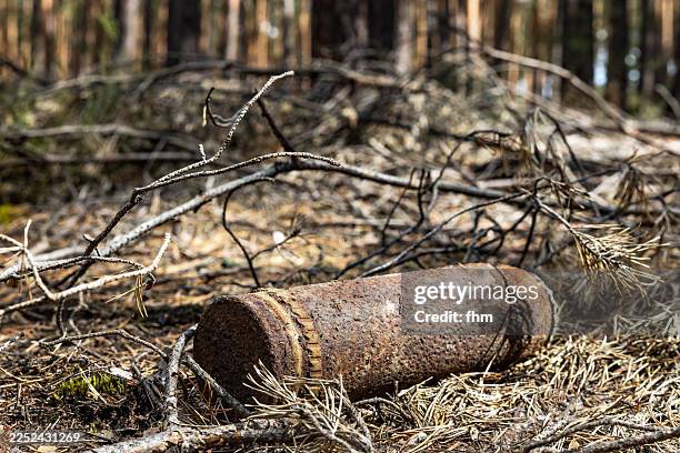 old rusty grenade in a forest - hand grenade stock pictures, royalty-free photos & images