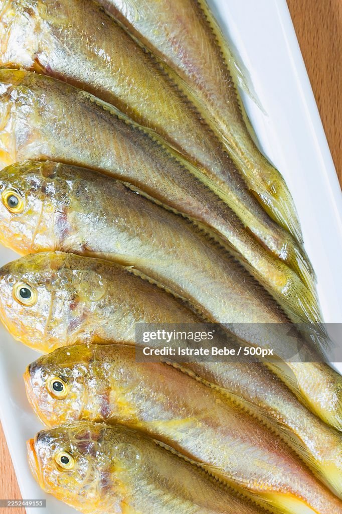 Close-up of fresh fish arranged on a white plate, ready for cooking