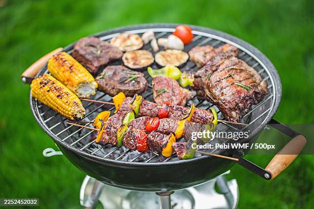 delicious meat and vegetables cooking on a charcoal barbecue grill outdoors on green grass - grillen stock-fotos und bilder