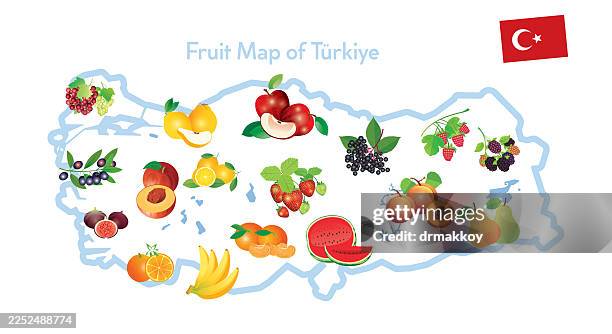 ilustrações, clipart, desenhos animados e ícones de ilustração de colorir do mapa da fruta do peru - caqui fruta tropical