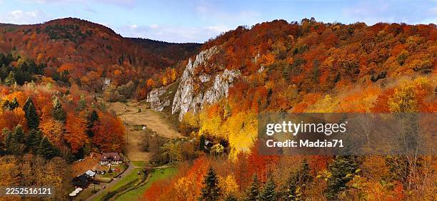 autumn in jura - czestochowa stock pictures, royalty-free photos & images