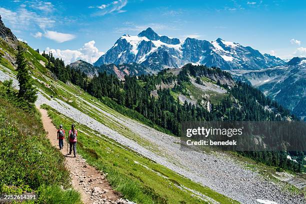 wanderer: mt shuksan, washington, usa - nördliches kaskadengebirge stock-fotos und bilder