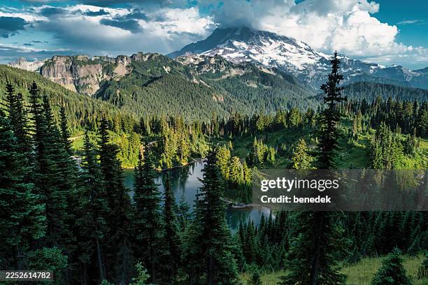 mount rainier washington eunice lake usa - mt rainier stock pictures, royalty-free photos & images