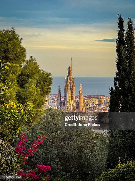 sagrada família through garden foliage - sagrada familia fotografías e imágenes de stock