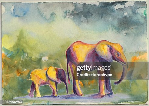 Forest elephants Forest elephants