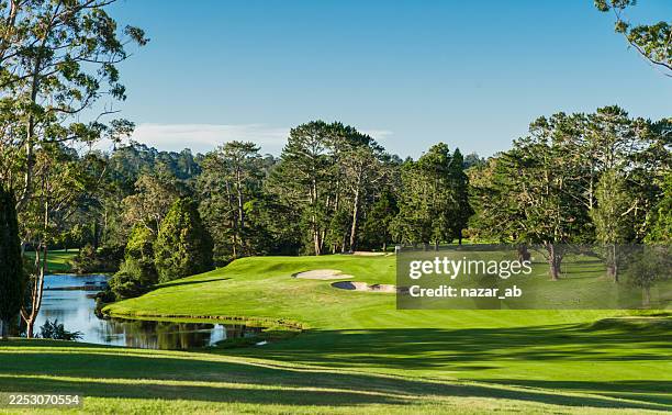 calm waters and sand traps add challenge and beauty to the fairway. - golf course stock pictures, royalty-free photos & images