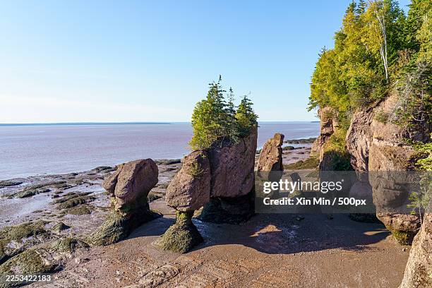 scenic view of hopewell rocks at low tide on the bay of fundy, new brunswick, canada,moncton,canada,hopewell rocks provincial park - bay of fundy stock pictures, royalty-free photos & images