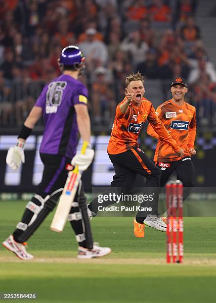 Cooper Connolly of the Scorchers celebrates the wicket of Mitchell Owen of the Hurricanes during the BBL match between Perth Scorchers and Hobart...