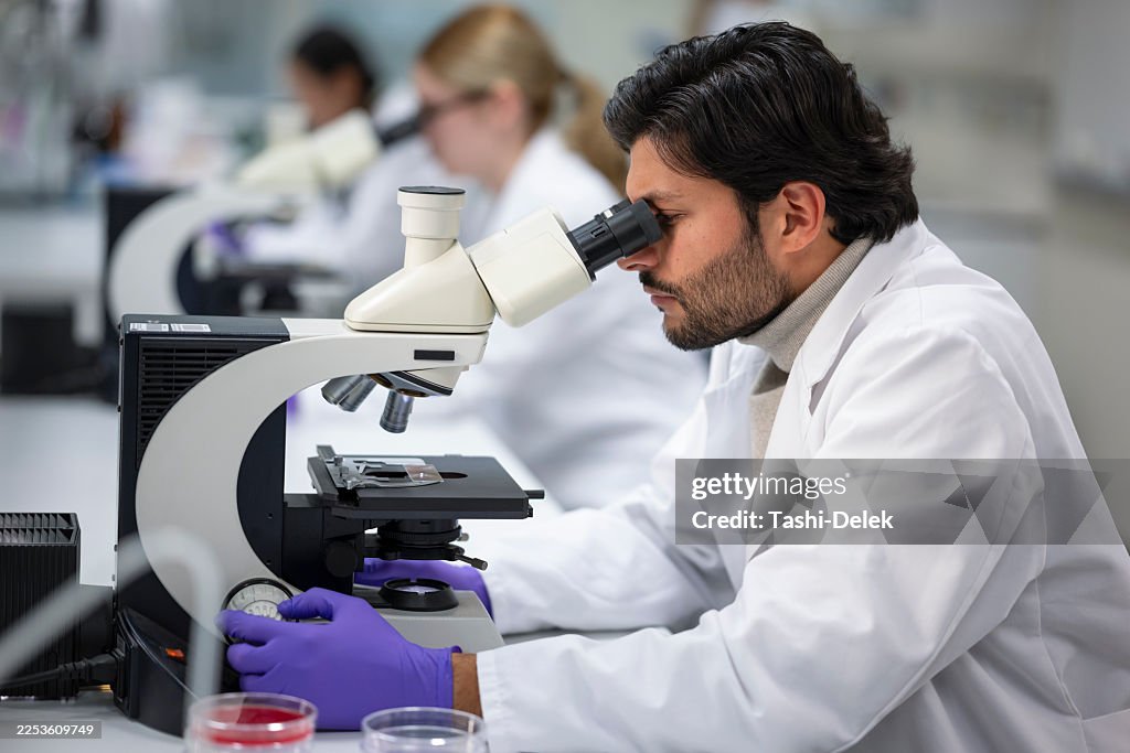 Medical Student Looking Through A Microscope At The Laboratory.