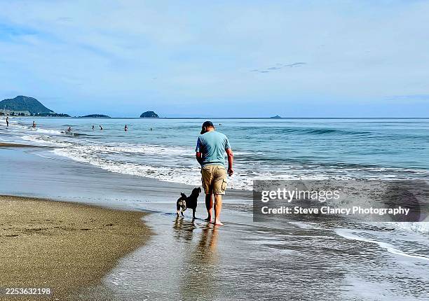 walking along the beach - cavapoo stock pictures, royalty-free photos & images