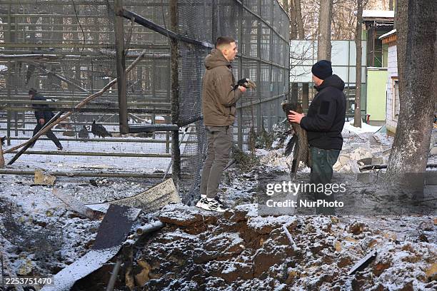 Employees hold rescued birds by the crater left by a Russian guided aerial bomb strike on the Feldman Ecopark in the Kharkiv region, Ukraine, on...