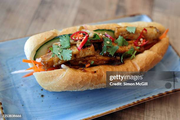 vegetarian banh mi with tofu, pickled carrot and daikon, mayonnaise, fresh cucumber, chili, marinated mushrooms and coriander finished with soy sauce - tofu stock pictures, royalty-free photos & images