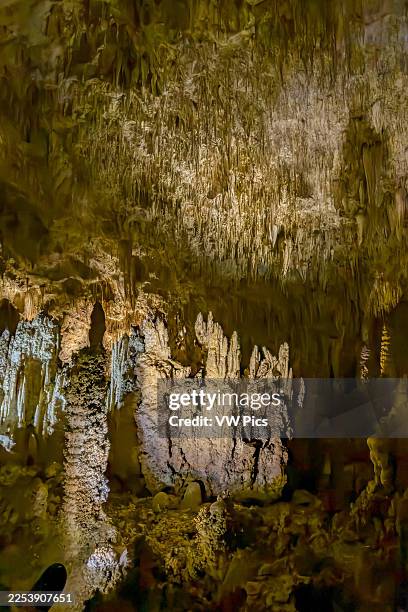 Stalactites, stalagmites & soda straws in the Big Room in Carlsbad Caverns National Park, New Mexico.