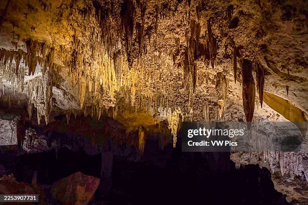 The Green Lake Room on the Natural Entrance Trail into Carlsbad Caverns National Park, New Mexico.