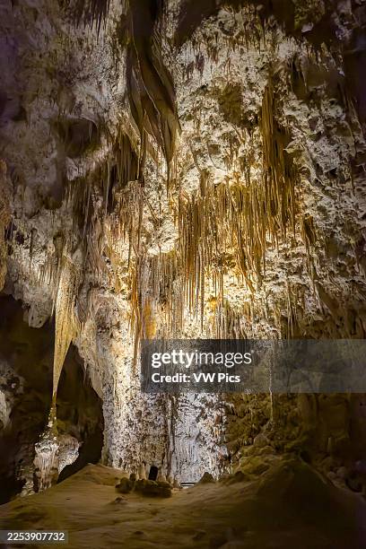 Drapery, stalactites, stalagmites & a column in the Big Room in Carlsbad Caverns National Park, New Mexico.