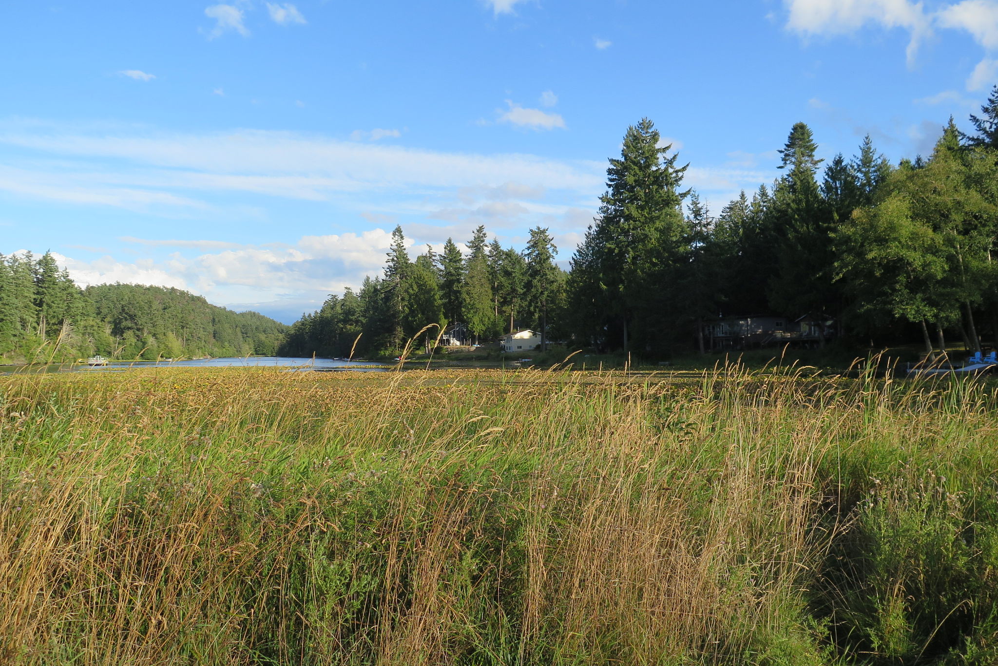 photography composition