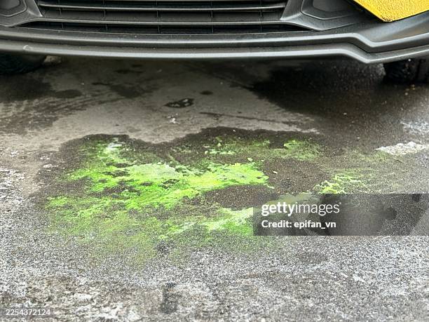 eco car cleaning