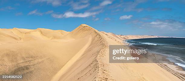 famous sand dunes on ocean shore of sandwich harbour in namibia - swakopmund stockfoto's en -beelden