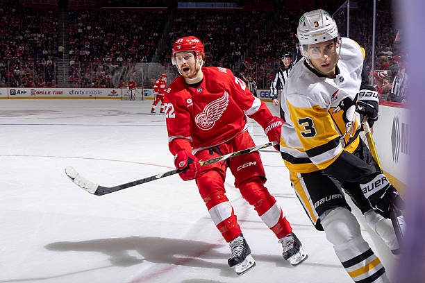 Senators vs. Red Wings Prediction, Odds, Picks - Jan. 5