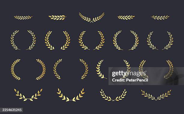 stockillustraties, clipart, cartoons en iconen met laurel wreaths without text on dark background, vector illustration - gouden medaille