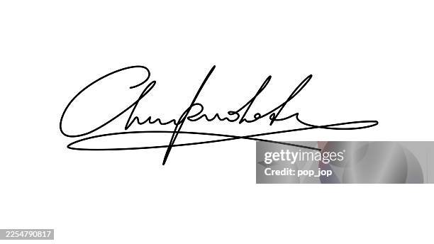 ilustraciones, imágenes clip art, dibujos animados e iconos de stock de ilustración abstracta de línea manuscrita vectorial - firmar
