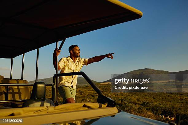 young adult man on safari pointing at horizon - south african culture stock pictures, royalty-free photos & images