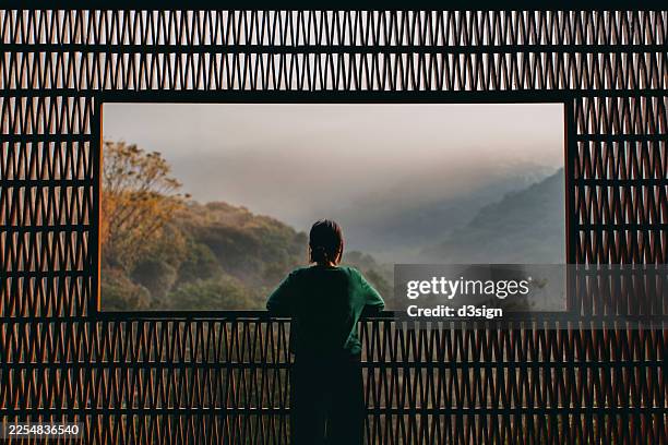 rear view of young asian woman enjoying the spectacular scenery during sunrise from a chinese style balcony with traditional pattern and looking into the distance. travel and vacation. exploration and discovery concept - evasione dalla realtà foto e immagini stock